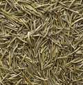 Dried Rosemary (Azir)