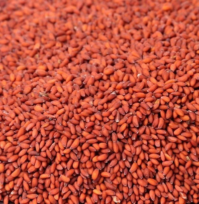 باك الأعشاب - Pack Herbes