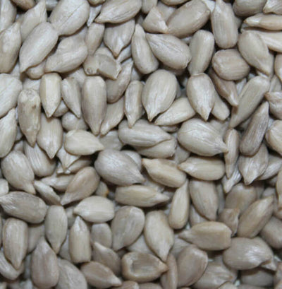 Graines de tournesol en vrac - بذور دوار الشمس