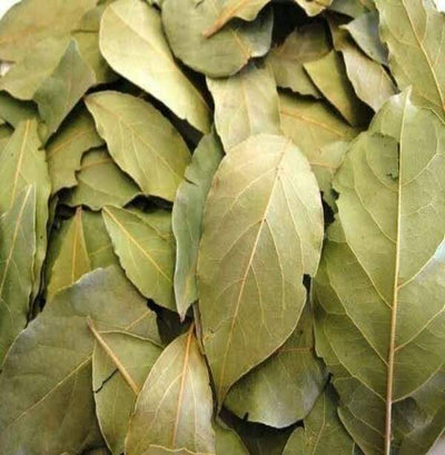 Feuilles de Laurier - ورقة سيدنا موسى