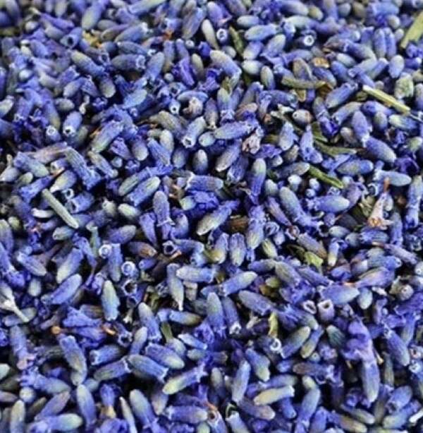 Lavande séchée - dried lavender