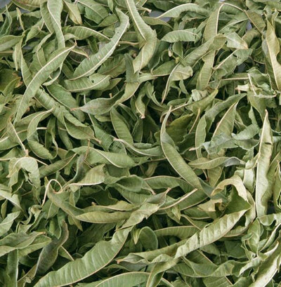 verveine - لويزة